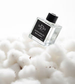 DOCKS Raumduft Diffuser mit Stäbchen – Verschiedene Düfte zur Wahl, 110ml – Alltags Helfer | Geschenk Klassiker