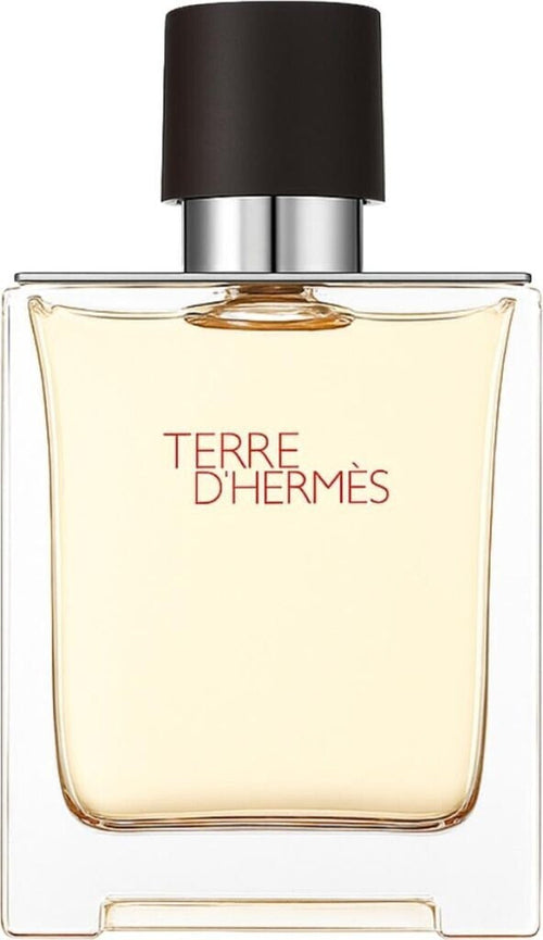 Hermès Terre d'Hermès Eau de Toilette 100 ml – Eleganter Herrenduft mit Zitrus & Holznoten – Geschenk Moment | Mini Geschenk