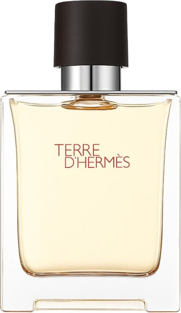 Hermès Terre d'Hermès Eau de Toilette 100 ml – Eleganter Herrenduft mit Zitrus & Holznoten – Geschenk Moment | Mini Geschenk